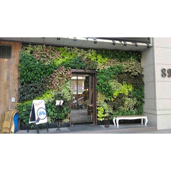 室外綠牆-桃園梳子餐廳
