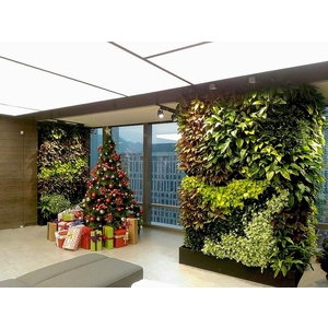 室內綠牆-潤德微軟公司