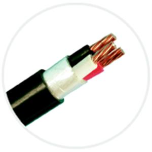 600V PVC絕緣PVC被覆電纜(VV) , 伸泰國際股份有限公司