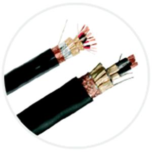 XLPE-PVC隔離(遮蔽)電纜 , 伸泰國際股份有限公司