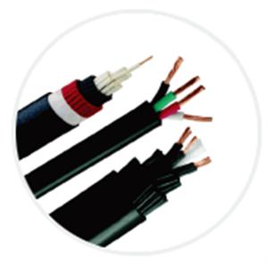 PVC-PVC儀表控制電纜 , 伸泰國際股份有限公司
