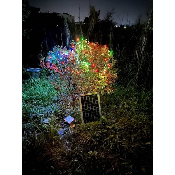 太陽能LED聖誕燈