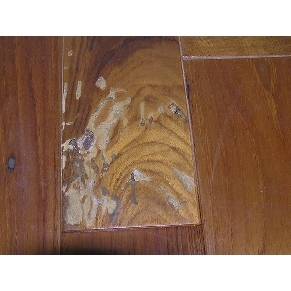 除白蟻-實木地板
