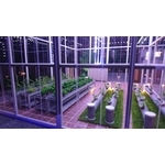 植物室 - 傑伶建築模型