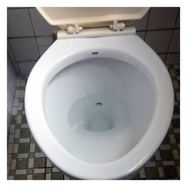 廁所清潔(程宅：新北市樹林區)