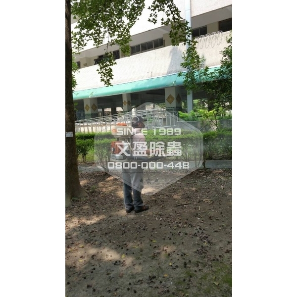 學校環境除蟲消毒-桃園-文盈蟲害防治企業社