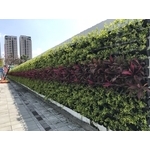 植栽美化(綠圍籬) - 丞峰土木建築機械有限公司