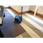 地毯清洗 - 宸潔環境清潔維護服務社