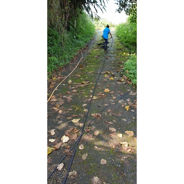 產業道路青苔清洗