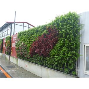 造型綠牆,暄品設計工程顧問有限公司
