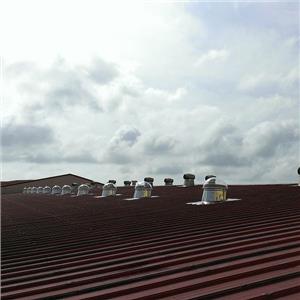 520 LED 光導日間-屋頂