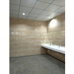 廁所整修裝修工程 - 麗君室內裝修設計工程有限公司