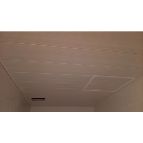 浴廁塑膠暗架天花板
