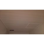 浴廁塑膠暗架天花板 - 龍鋌工程行