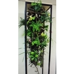 花藝造景盆栽 - 朵森綠美化工作室