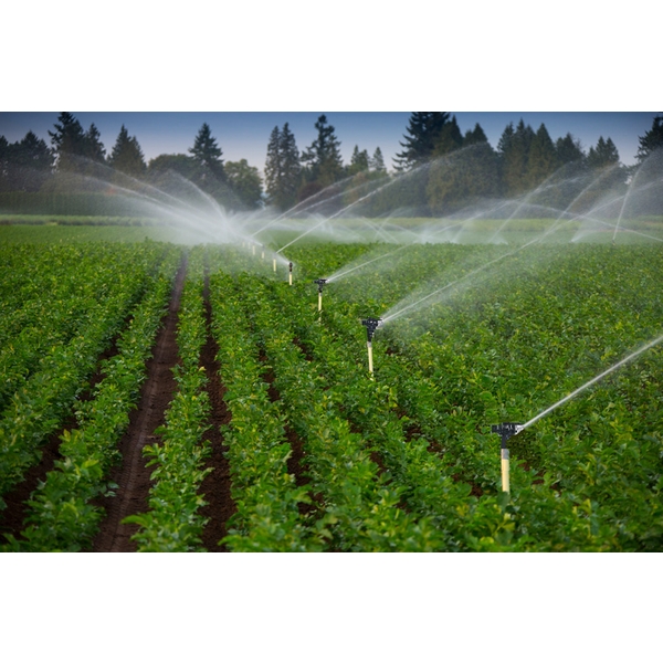 塑鋼搖臂噴水頭(可調角度) 噴鳥-農業及園藝噴灌灌溉灑水器、噴頭