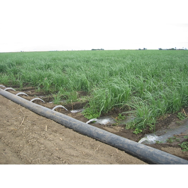 滑門管用於甘蔗溝灌