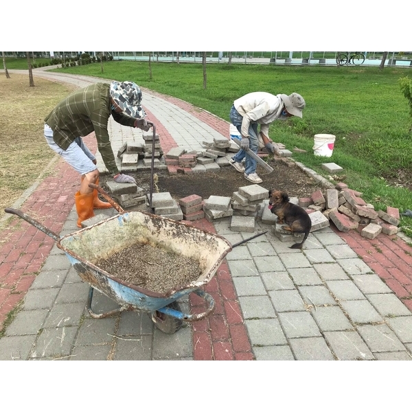 松竹捷運旁.南興路(南興公園)人行步道磚.重鋪整修