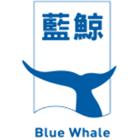 藍鯨國際科技股份有限公司,台北市