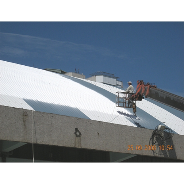 板橋體育館屋頂 PU 防水防熱工程