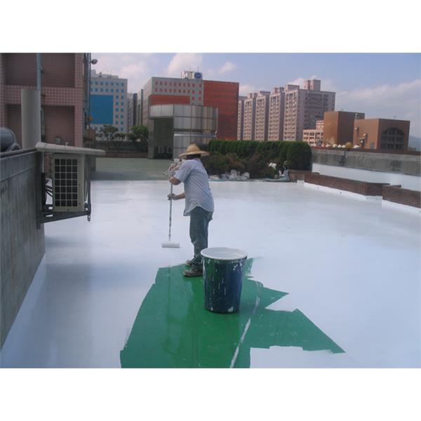 屋頂PU防水工程,大台北防水測漏工程有限公司