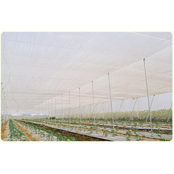 農業用網-網室防蟲網