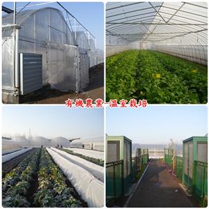 有機農業-溫室栽培