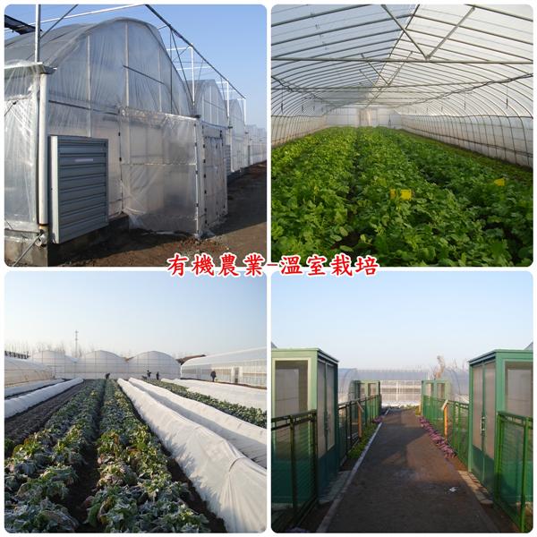 有機農業-溫室栽培,揚雅國際股份有限公司