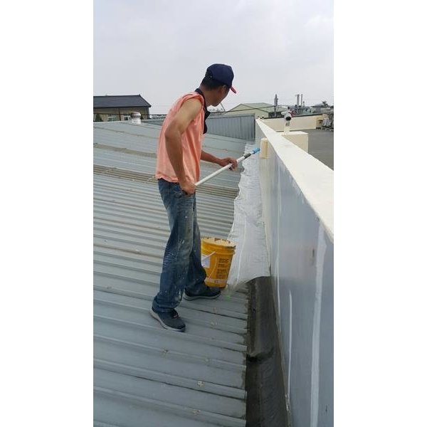 屋頂防水工程-品誠塗裝防水專業建材