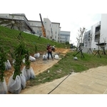 邊坡綠化工程 - 永興園藝有限公司