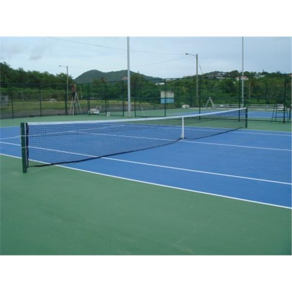 外交部聖露西亞網球場新建計畫,大衛體育工程