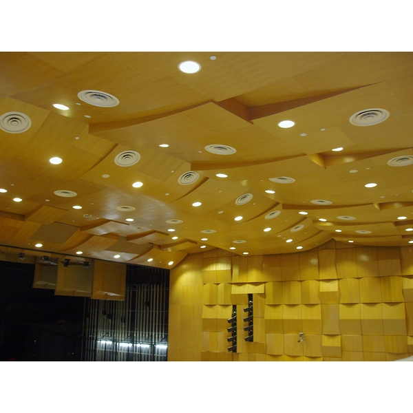 音樂廳建築聲學規畫設計與安裝施工1,瑞喬欣業股份有限公司