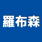 羅布森股份有限公司,登記,登記字號