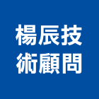 楊辰技術顧問有限公司,公司