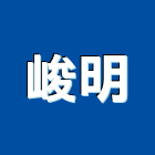 峻明股份有限公司,公司